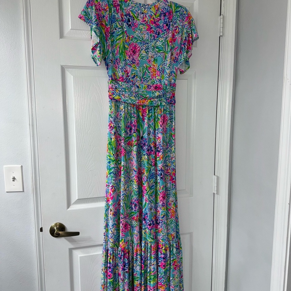 Lilly Pulitzer Maxi Dress! - Picture 8 of 8